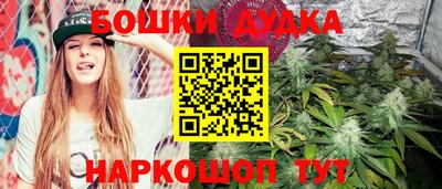 крисы Коммунар