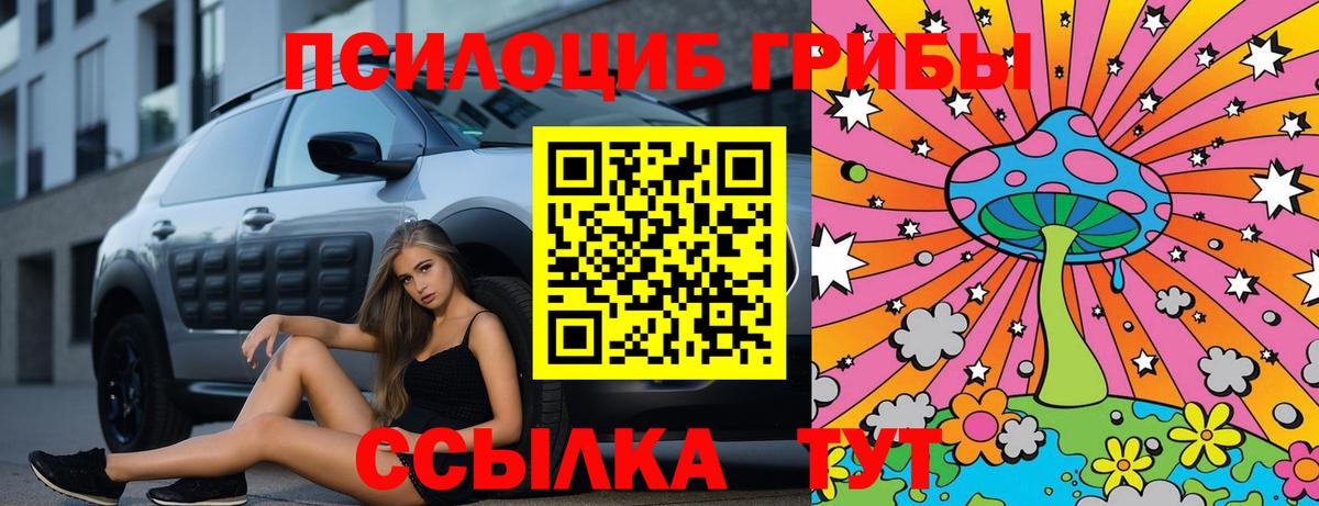 Галлюциногенные грибы Psilocybine cubensis Ярославль
