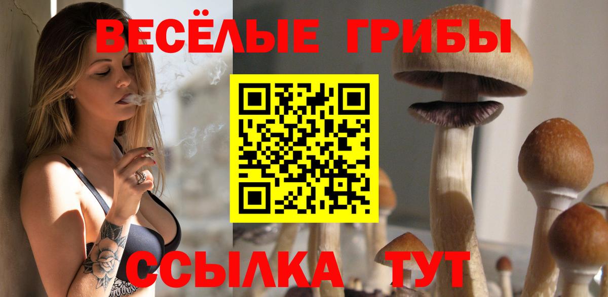 Псилоцибиновые грибы Cubensis  Вход с VPN  Ярославль 